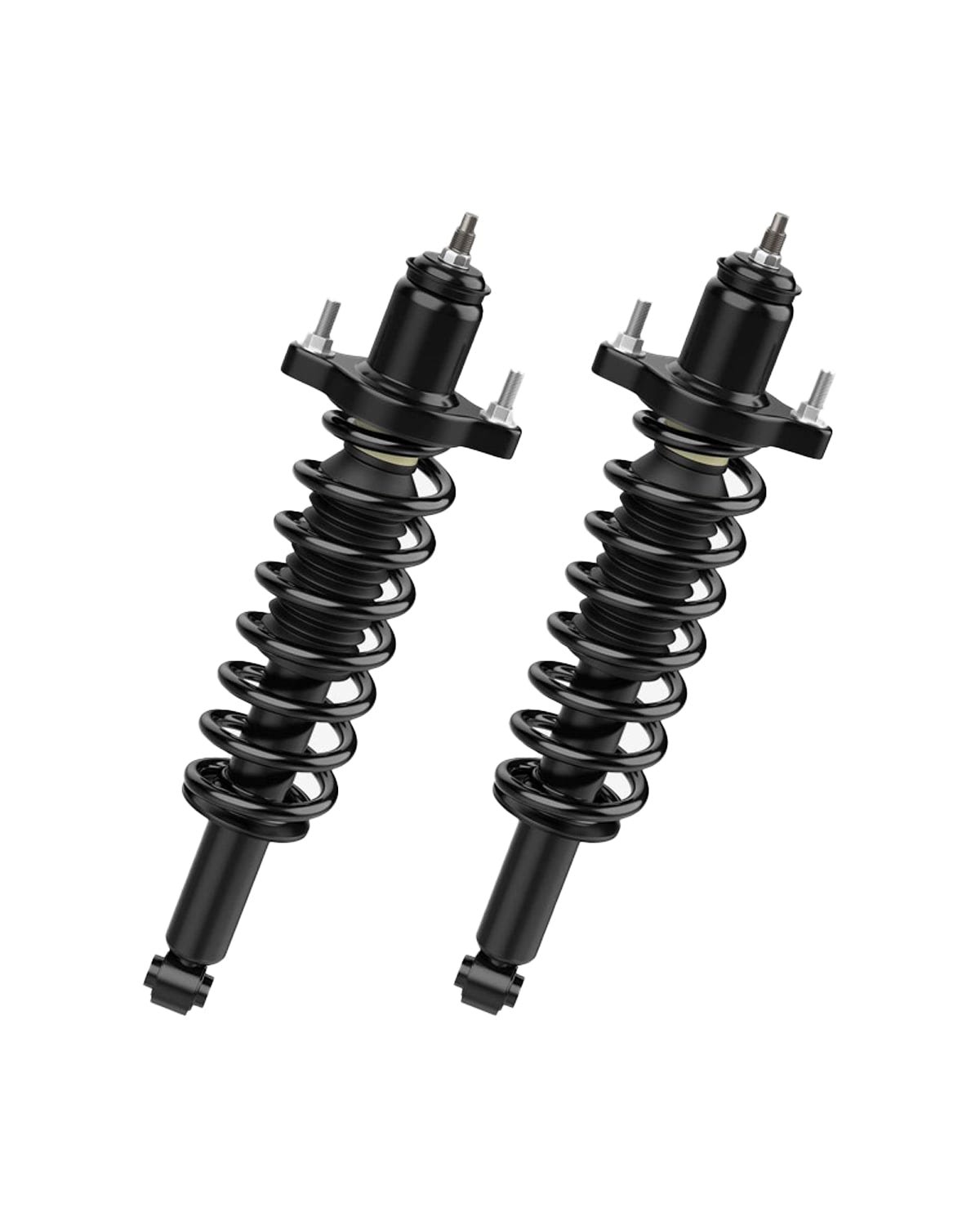 Rear Strut and Coil Spring Assembly